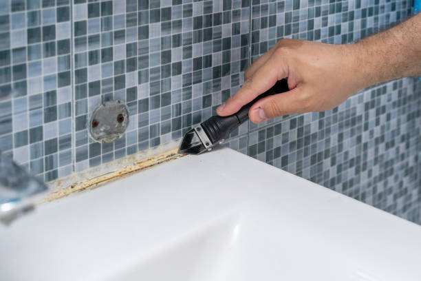 Best Best Mold Removal Companies  in Whitefish Bay, WI
